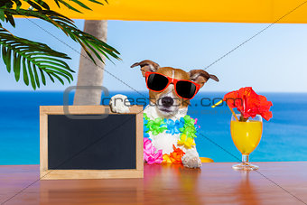 cocktail dog