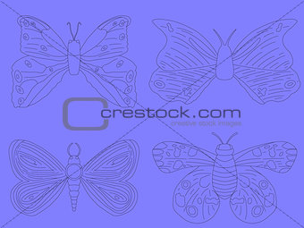 butterflies on purple background