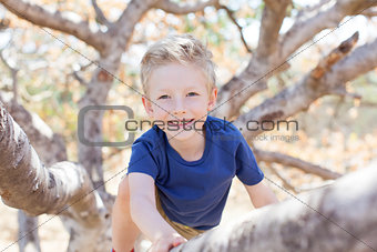 kid climbing the tree