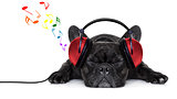 dog music 