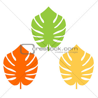 Exotic leaves colorful collection for your design