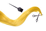 Long golden blonde hair with professional scissors and hair dye 