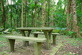 Picnic place in forest