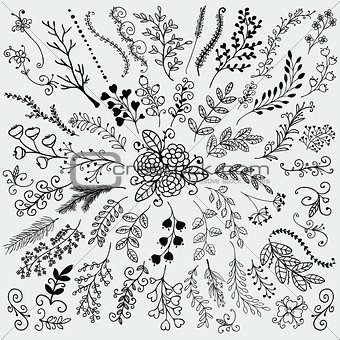 Vector Hand Sketched Rustic Floral Doodle Branches