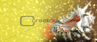 Seashell Chicoreus ramosus on sparkling bokeh background