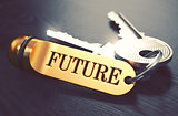 Future Concept. Keys with Golden Keyring.