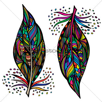 Decorative feathers. Hand drawn vector illustration