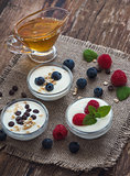 Yogurt with Fruits or Chocolate in Little Bowls