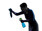 woman maid housework sprayer silhouette