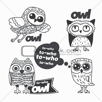 Owls design elements.