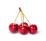 Four red ripe sweet cherries on one branch