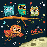 Collection of owls in the night