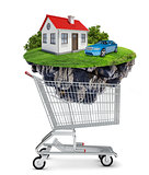 House and car in shopping cart