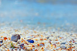 Shells and sand 