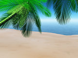 3D beach scene with palm trees