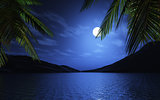 3D palm trees at moonlight