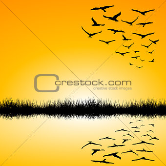 Landscape with a lake and birds flying