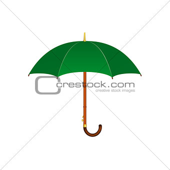Umbrella in green design