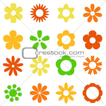 Various colorful flowers