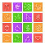 Fruits Thin Line Icons
