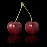 vector cherry isolated on white background