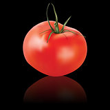 vector tomato isolated on black background