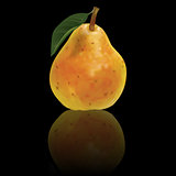 vector pear isolated on black background