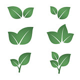 Green leaves icons set.