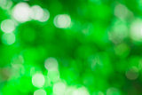 Blurred light  bokeh abstract green background