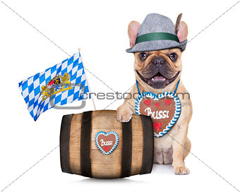 bavarian german pug dog