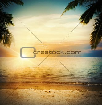Sunset tropical beach