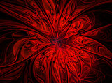Abstract fractal red  flower