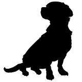 Mixed Breed Silhouette