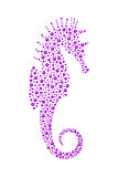 Seahorse in purple design