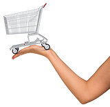 Shopping cart in womans hand