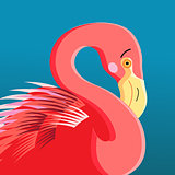 portrait of a flamingo