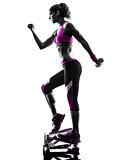 woman fitness stepper weights exercises silhouette