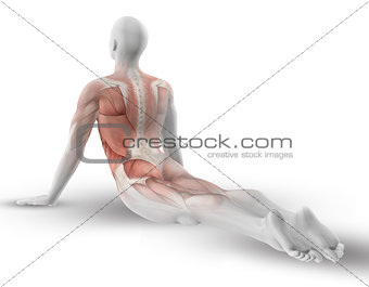 3D male figure with partial muscle map in yoga pose