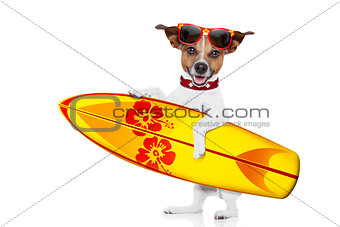 surfing dog selfie
