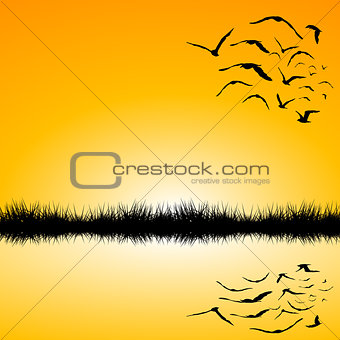 Landscape with a lake and birds flying