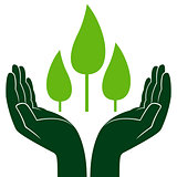 Green trees in human hands