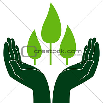 Green trees in human hands