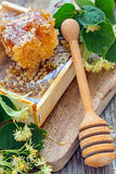 Honey comb and a wooden spoon.