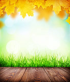Autumn background with floor, grass and bokeh