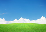 Green grass field and blue sky with clouds on horizon