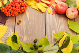 Autumn leaves, rowan berries and apples over wood background