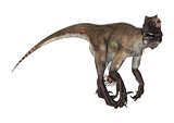 Dinosaur Utahraptor