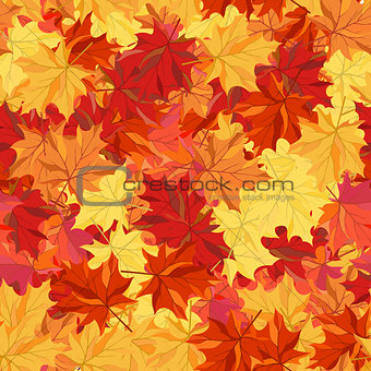 Seamless autumn maple leaves 