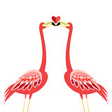 Kiss flamingos