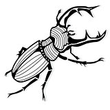 Male stag beetle, Lucanus cervus vector tattoo or for T-shirts